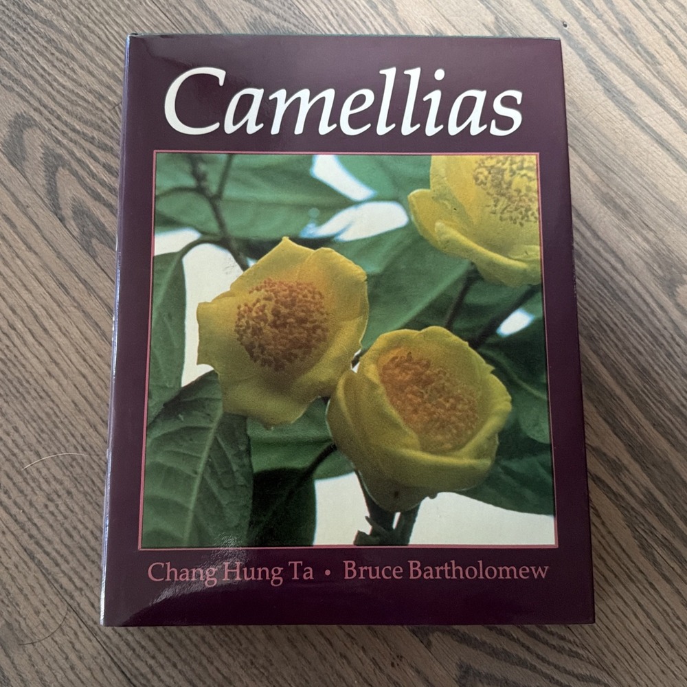 CAMELLIAS By Hung Chang Ta & Bruce Bartholomew - HCDJ 1st Edition Gardening EXC